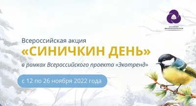 Экологическое направление РДШ научит правильно подкармливать птиц |РДШ —  Российское движение школьников