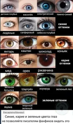 Какого цвета будут глаза у моего ребенка? - Иркутский городской  перинатальный центр имени Малиновского М.С.