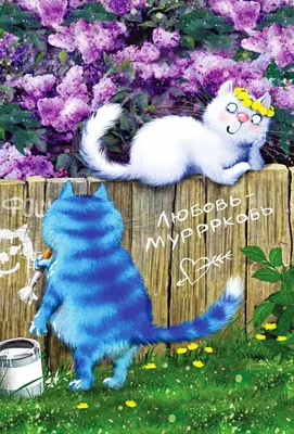 Синие коты Ирины Зенюк. Большой набор почтовых открыток 50 шт - купить с  доставкой в интернет-магазине OZON (484259605)