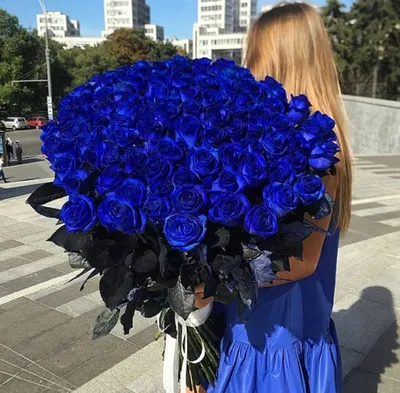 Синие розы 70 см 101 шт.. - ZiediKarmena
