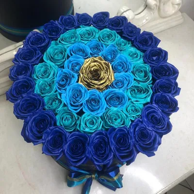 Синие розы 35 шт. купить от 8050 рублей в интернет-магазине