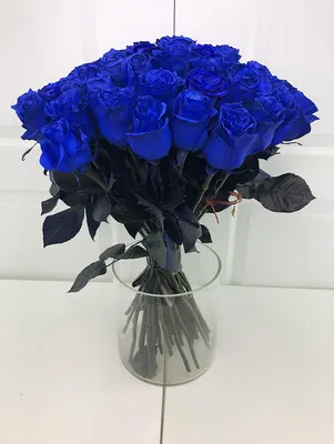 1️⃣ Синие голландские розы Семей | Цветы с доставкой от 30 мин