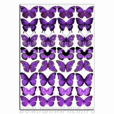 бабочки фиолетовые #бабочкитагуи #buterfly #бабочкифиолетовые | Butterfly  cake topper, Birthday cake topper printable, Butterfly clip art