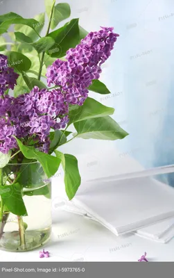 Картина маслом "Фиолетовые цветы" — В интерьер