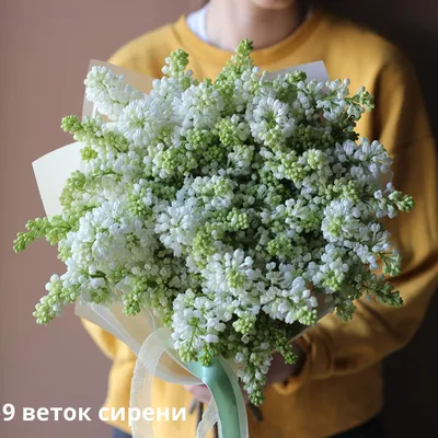 Букет из белой сирени - заказать доставку цветов в Москве от Leto Flowers