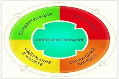 Организация пространства по системе 5С: правила и примеры