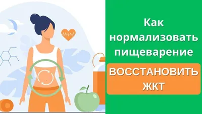 Презентация «Органы пищеварительной системы. Общая характеристика  пищеварительной системы".