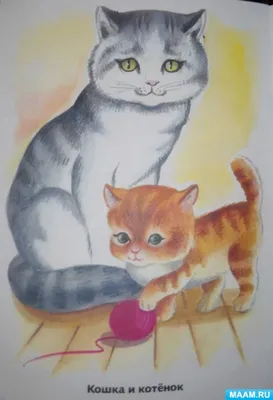 Картинка кошка с котятами для детского сада - 61 фото
