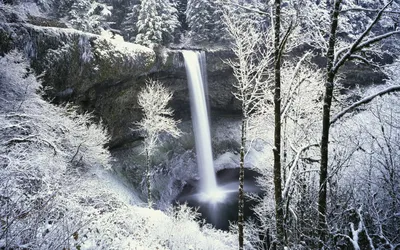 Красивые картинки зимние на телефон (42 фото) • Развлекательные картинки