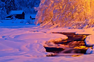 Красивые картинки зимние на телефон (42 фото) • Развлекательные картинки