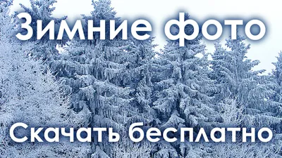 Ночь зима снег природа | 