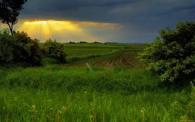 Картинки лето красивые природа (68 фото) » Картинки и статусы про  окружающий мир вокруг