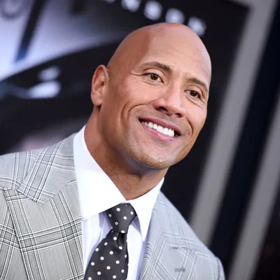 Dwayne The Rock Johnson. Дуэйн Скала Джонсон | The rock dwayne johnson,  Caricature, Funny caricatures