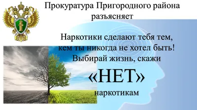 Скажи наркотикам - НЕТ! | ГБПОУ «Волгоградский колледж ресторанного сервиса  и торговли» - официальный сайт