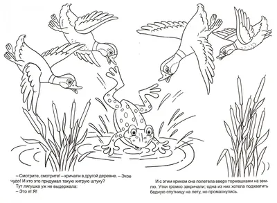 Сказка «Лягушка-путешественница» читать
