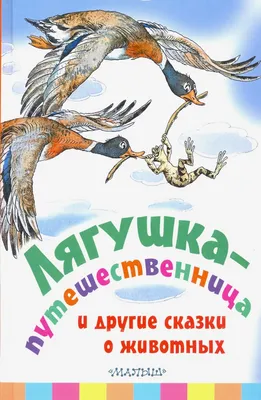 Лягушка-путешественница и другие сказки — купить книги на русском языке в  Швеции на 