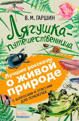 Лягушка-путешественница: сказки, рассказы. С вопросами и ответами для  почемучек (Всеволод Гаршин, Ирина Пескова) - купить книгу с доставкой в  интернет-магазине «Читай-город». ISBN: 978-5-17-104751-1