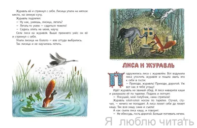 Типи в Лесу: Лисья подборка книг