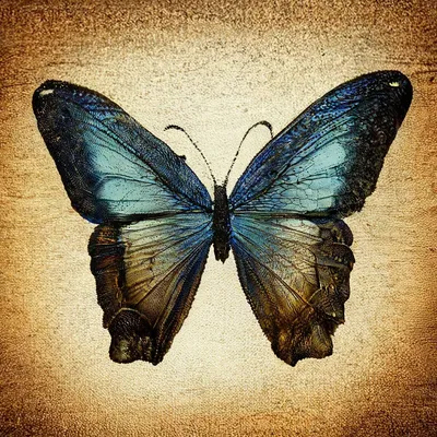 Однажды бабочка и стрекоза» — создано в Шедевруме