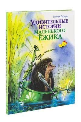 Волшебная сказка про ежика Ridero 36833149 купить за 489 ₽ в  интернет-магазине Wildberries