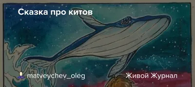 что за кит, ну что за вид