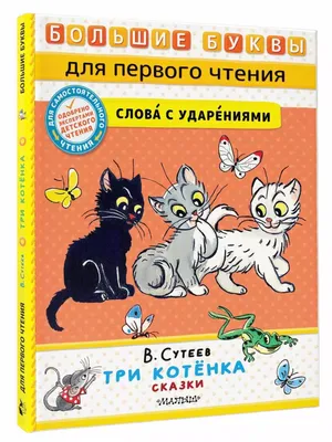 Крошечный рыжий котенок дрожал у дороги». Добрая сказка о том, что счастье  может притаиться где угодно / AdMe