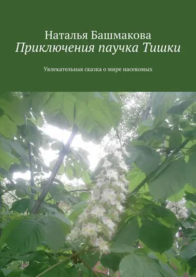 Пока все дома. История про паучка. Часть 1 | Уже посмотрели наше видео про  пауков и паутину? Тогда сегодня продолжим паучью тему! 👶 Приглашаем самых  маленьких на музыкальную развивающую сказку,... | By