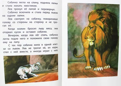 Послушай, Луша, сказку про собачку Соню ❋ Молодёжная библиотека Республики  Коми
