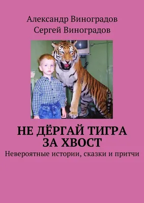 Аудіоказка колискова перед сном про ТИГРА 🐅 @malukam#казкидлядітей  #тигрята #тигр #аудіоказкионлайн - YouTube