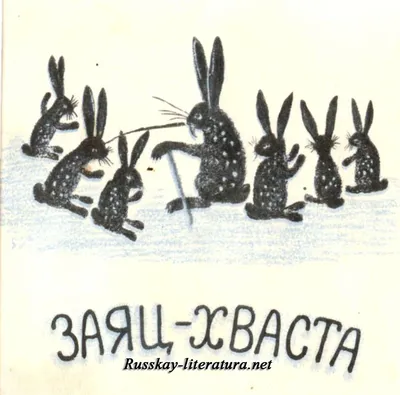 Купить Заяц-хваста в Минске и Беларуси за  руб.