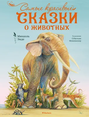 Книга Рассказы и сказки о животных иллюстрации С.Ярового купить по цене 518  ₽ в интернет-магазине Детский мир