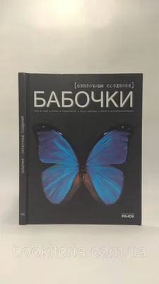 Бабочки в саду – радость глазам и страх за урожай