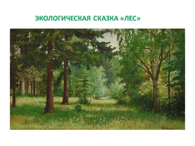 Фон сказочный лес (79 фото)