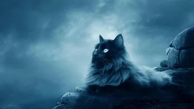 Красивый сказочный кот, состоящий из…» — создано в Шедевруме