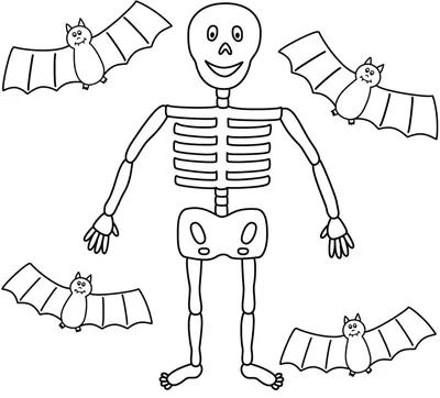 Скелет. Рисунок, А2 : LiveInternet - Российский Сервис Онлайн-Дневников