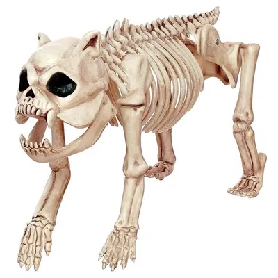 Ужасы Скелет Собаки: купить декоративный скелет собаки со светящимися  глазами в магазине 