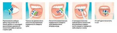 Как правильно чистить зубы ребенку ▶️