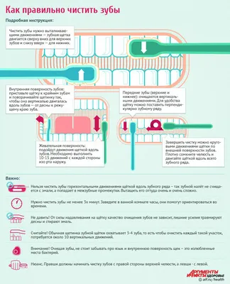 Как правильно чистить зубы? ИНФОГРАФИКА | Новости | ЗДОРОВЬЕ | АиФ  Санкт-Петербург