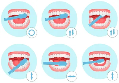 Как правильно чистить зубы? | Клиника Доктора Осиповой