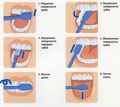 Исследователи рассказали, когда на самом деле стоит чистить зубы