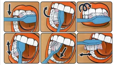 Как правильно чистить зубы зубной щеткой? - энциклопедия 