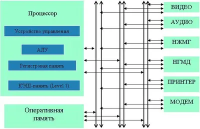 Структурная схема персонального компьютера - Информатика и математика для  юристов