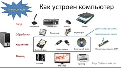 Устройство компьютера и функции его элементов | KinoTechnic | Дзен