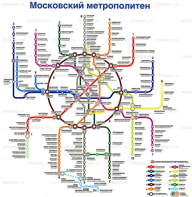 Транспортные схемы Алексея Гончарова