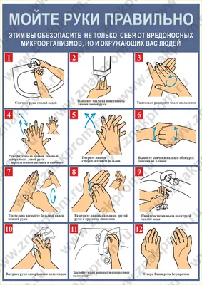 Как правильно мыть руки. Гигиена рук