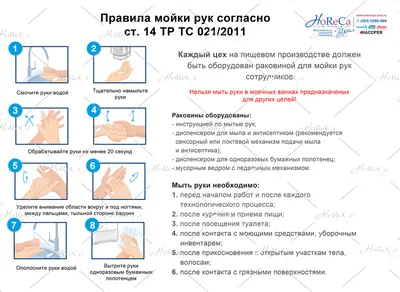 Как правильно мыть руки, чтобы защититься от вирусных инфекций - 