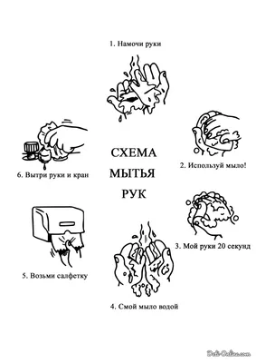 Как правильно мыть руки? | 