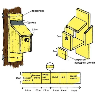 Чертеж скворечника с размерами | Домики для птиц, Планировка скворечника,  Чертежи