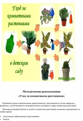 Модель трудового процесса. Уход за растениями. Государственное учреждение  образования "Детский сад №15 г. Калинковичи"