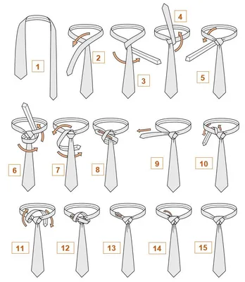 Схема завязывания галстука узлом "Элдридж" | Завязывать галстук, Узлы для  галстука, Галстук